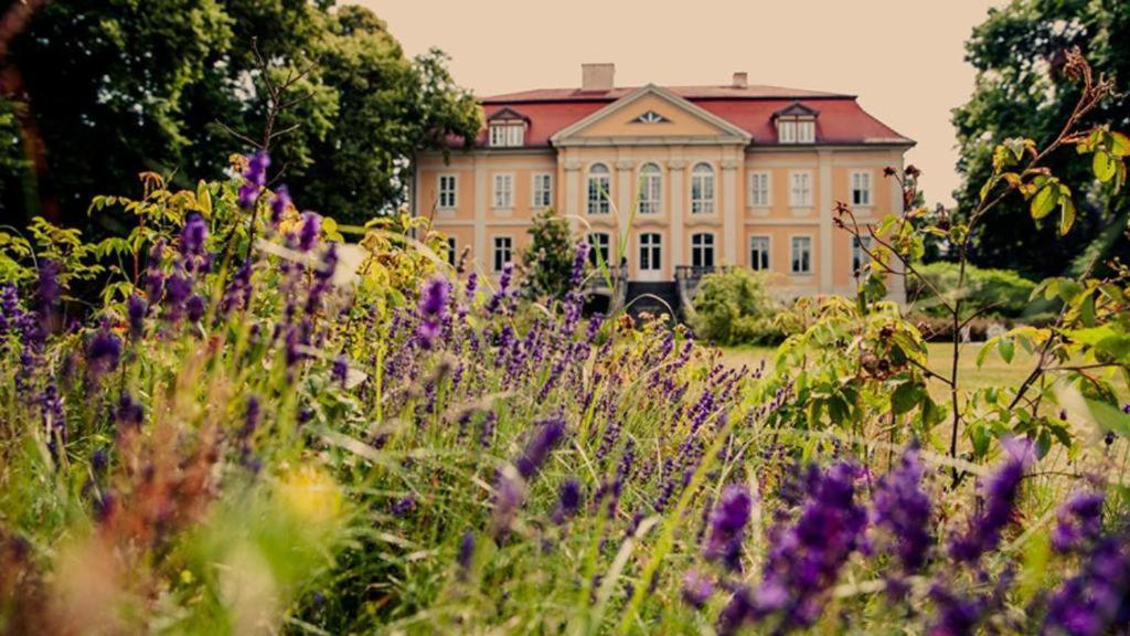 Schloss Stuelpe Apartment Stulpe Exterior photo